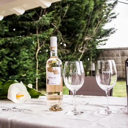 Terra Santa カンバードス